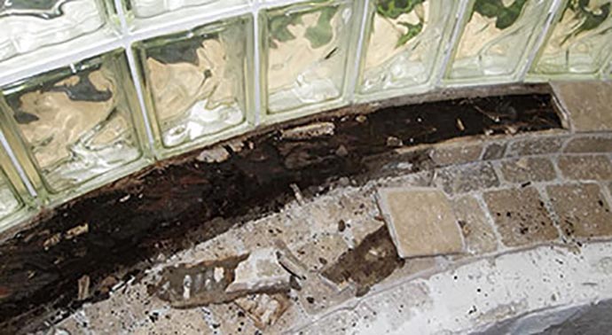 Preventing Mold Growth in Properties