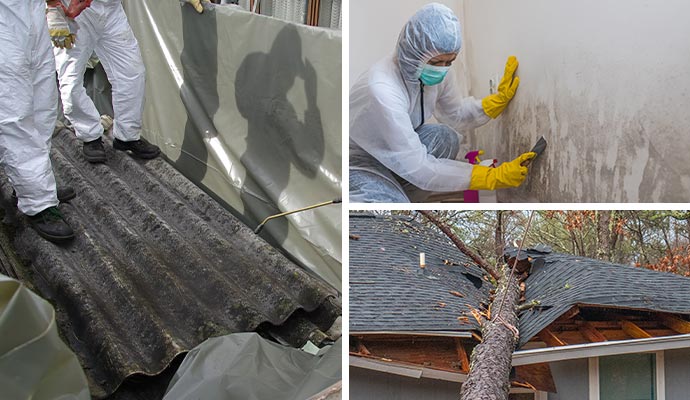 Professional mold, storm and tornado damage restoration service