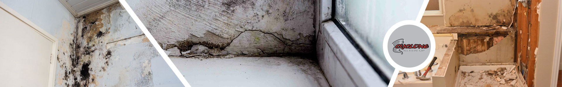 Mold Structural Damage Restoration