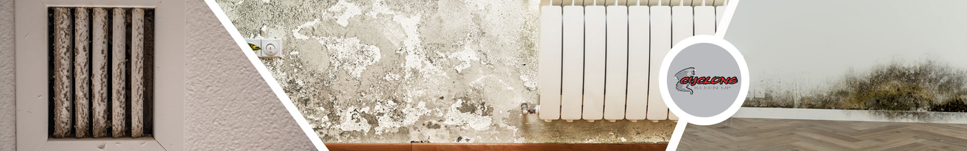 Preventing Mold Infestation in Properties