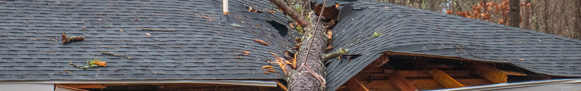 Roof Damage From Storm Restoration in Canon City & Penrose