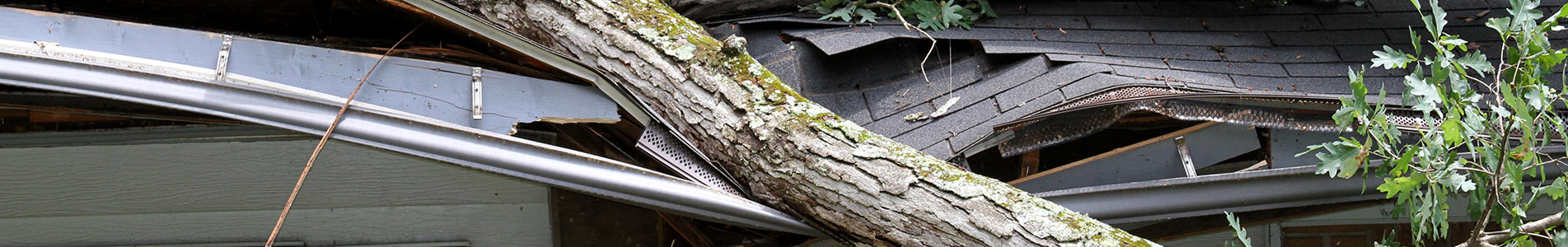 Wind Damage Restoration in Colorado Springs & Pueblo, CO