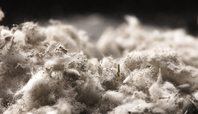 Types of Asbestos Insulation to Watch Out For