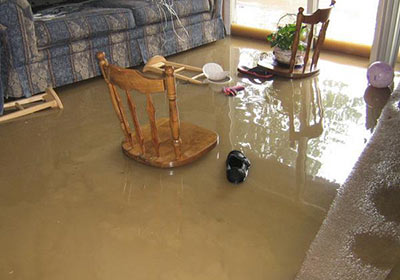 Why Why You Need to Act Fast After Water Damage