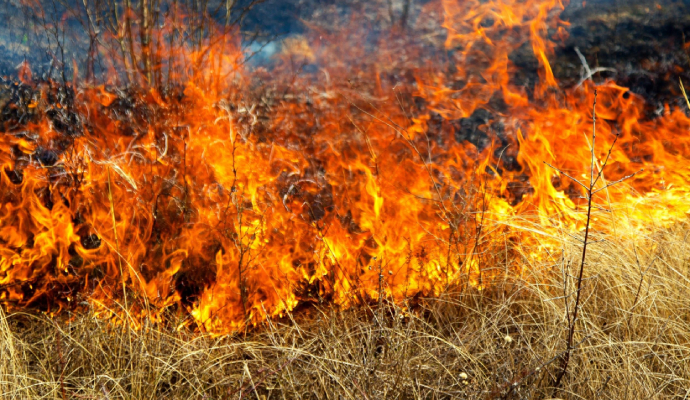 Brushfire caused Denger