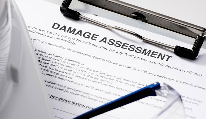 Damage Assessment