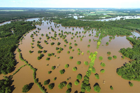 How to Learn if You Live in a Floodplain