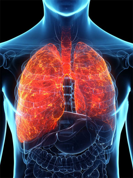 Health Effects Diffuse Pleural Thickening