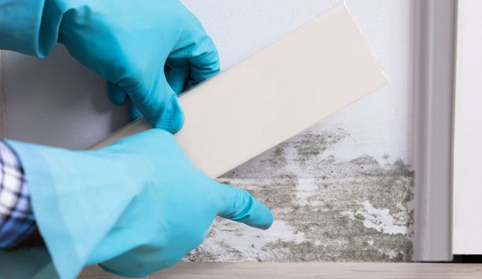 Mold Cleanup Process