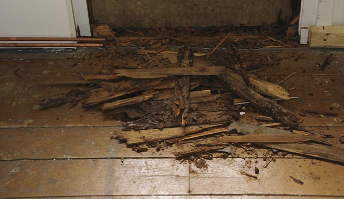 old wooden wall house water damaged hardwood floor