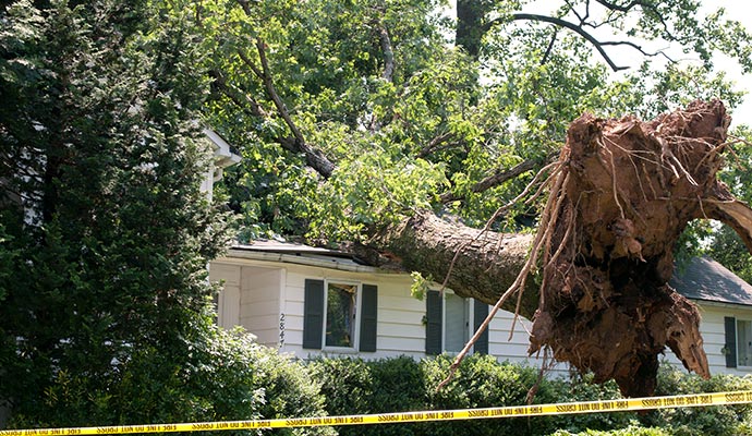 wind damaged tree residential house roof