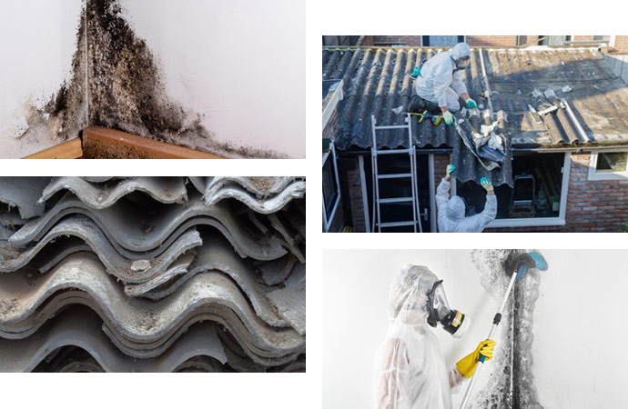 Mold and Asbestos Specialist